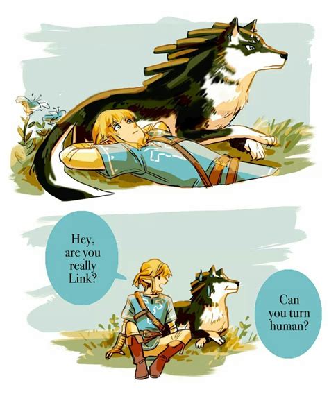 botw link wolf|link turns into a wolf.